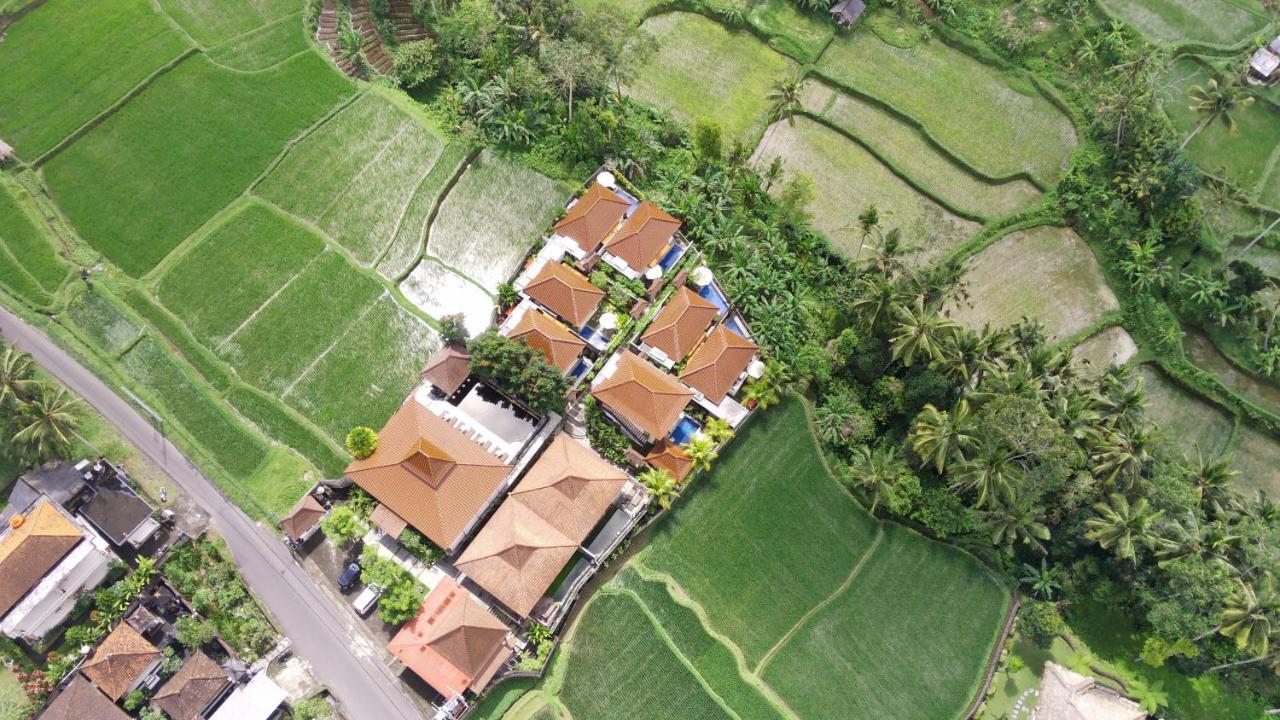Danakha Villa Ubud Tegallalang  Exterior photo
